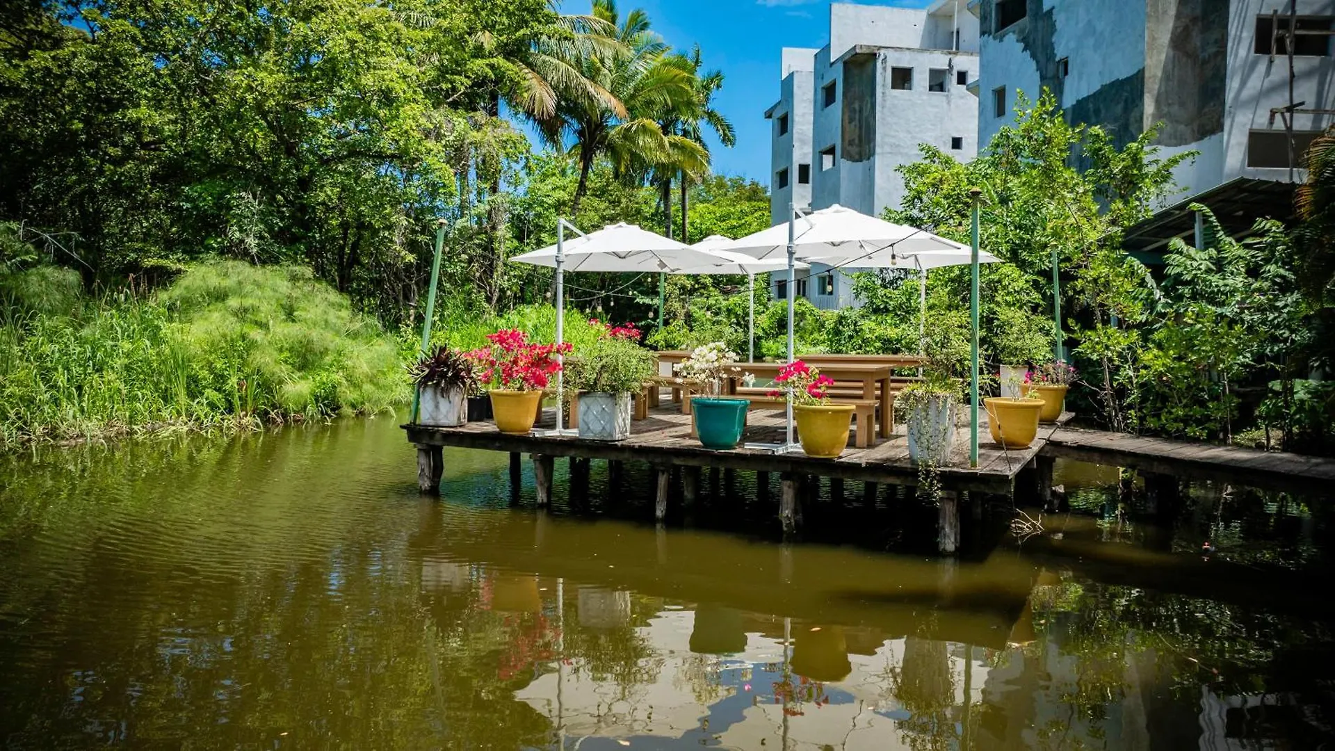 Pro Cab Paradise Condos Cabarete Apartment